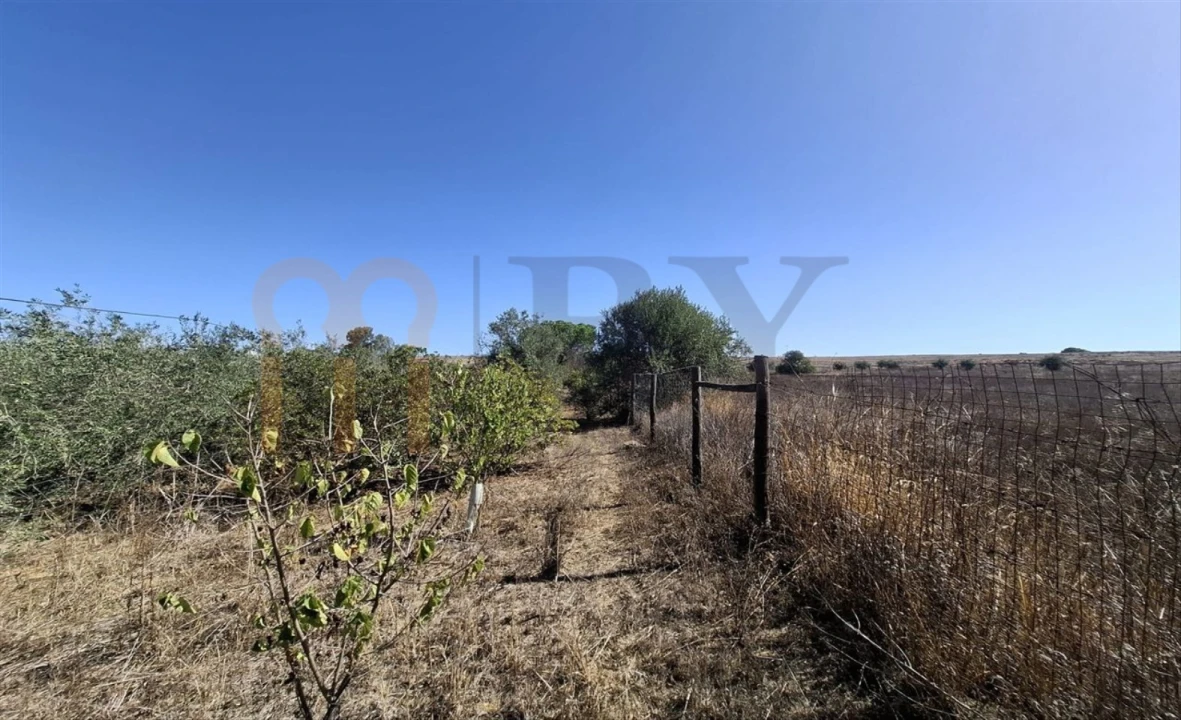 Terreno Agricola ou Rústico para Venda em Entradas Foto 25