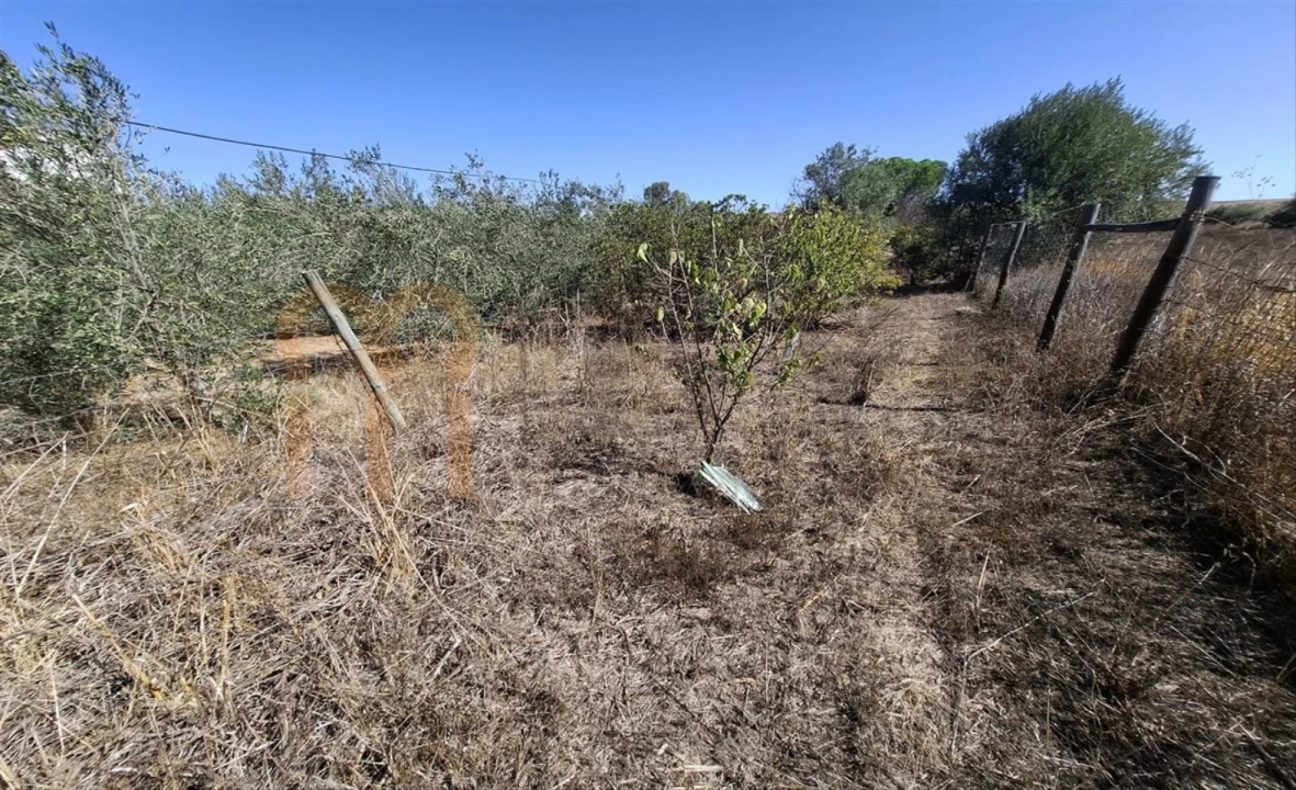 Terreno Agricola ou Rústico para Venda em Entradas Foto 26