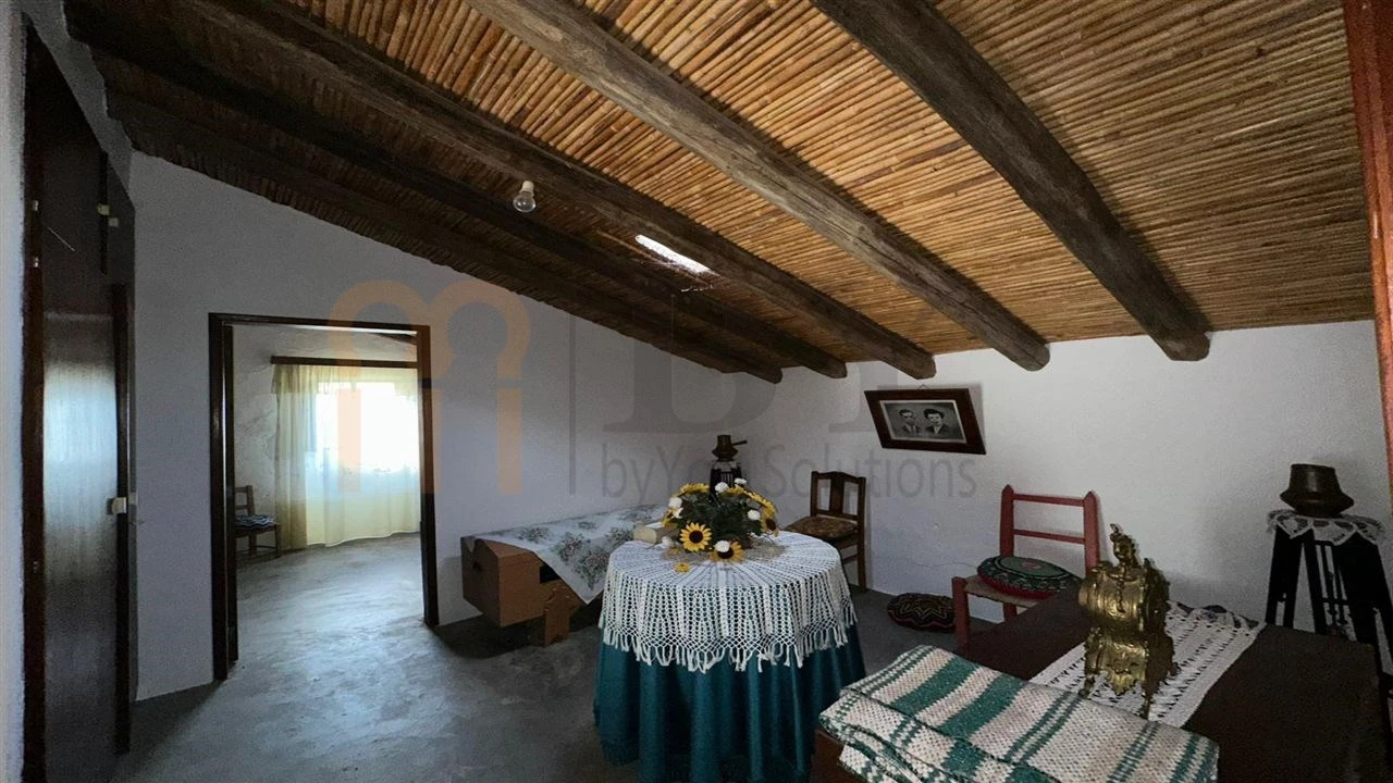 Quinta T3 para Venda em São Miguel do Pinheiro, São Pedro de Solis, São Sebastião dos Carros Foto 18