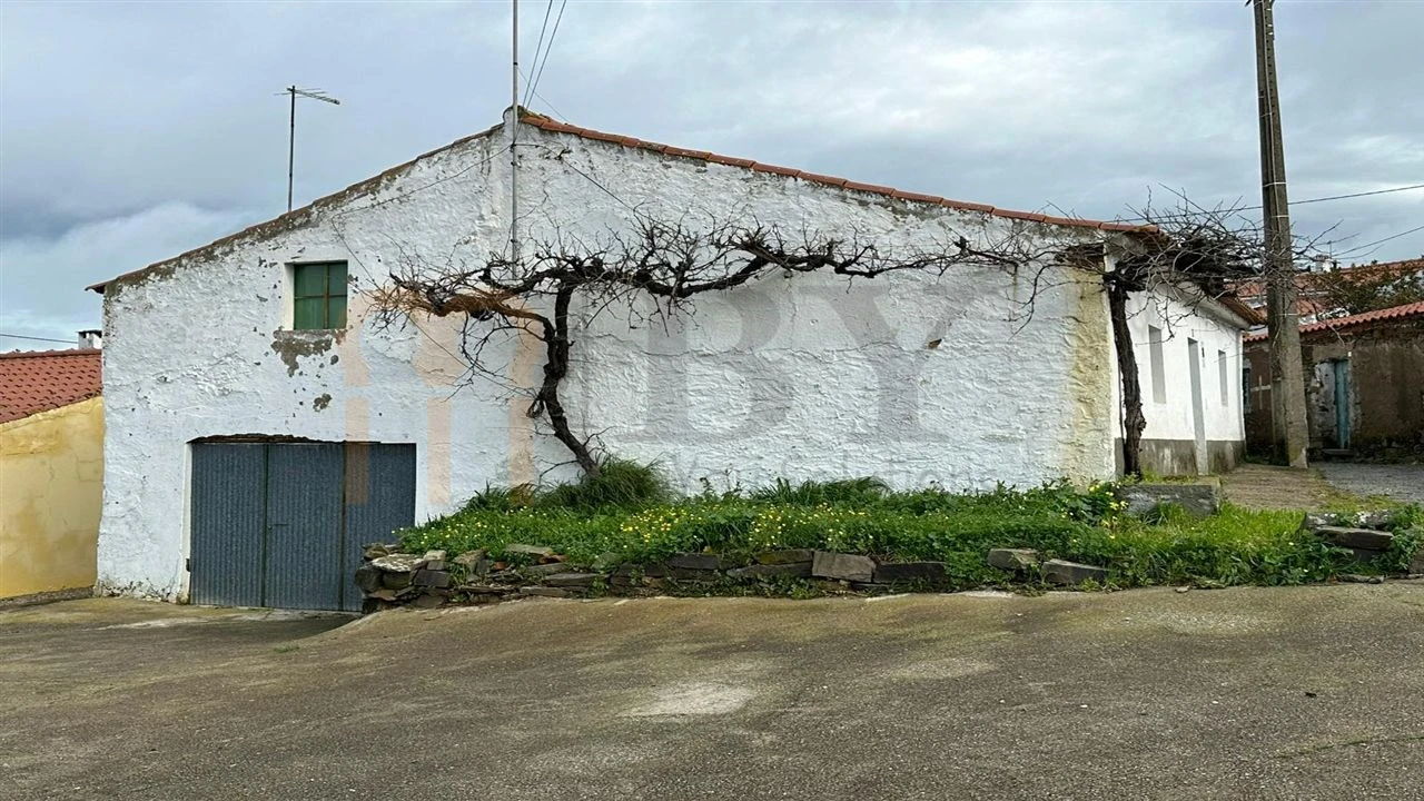Quinta T3 para Venda em São Miguel do Pinheiro, São Pedro de Solis, São Sebastião dos Carros Foto 22