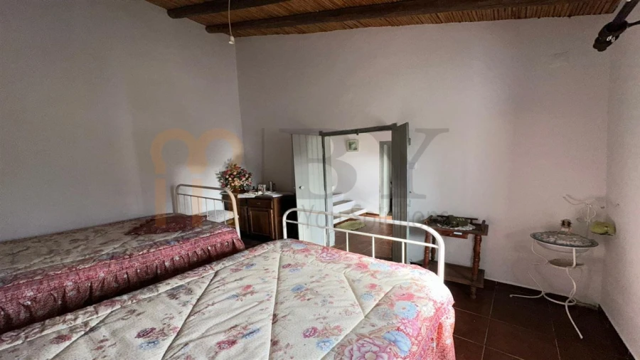 Quinta T3 para Venda em São Miguel do Pinheiro, São Pedro de Solis, São Sebastião dos Carros Foto 6
