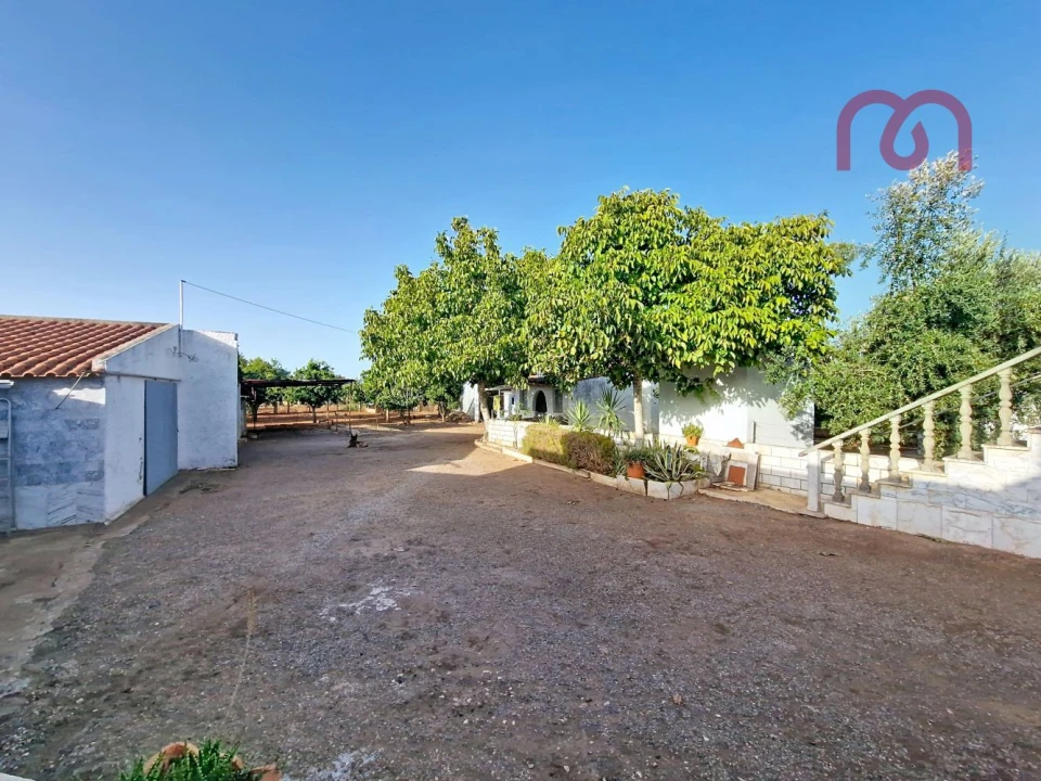 Moradia T4 para Venda em Arcos Foto 30