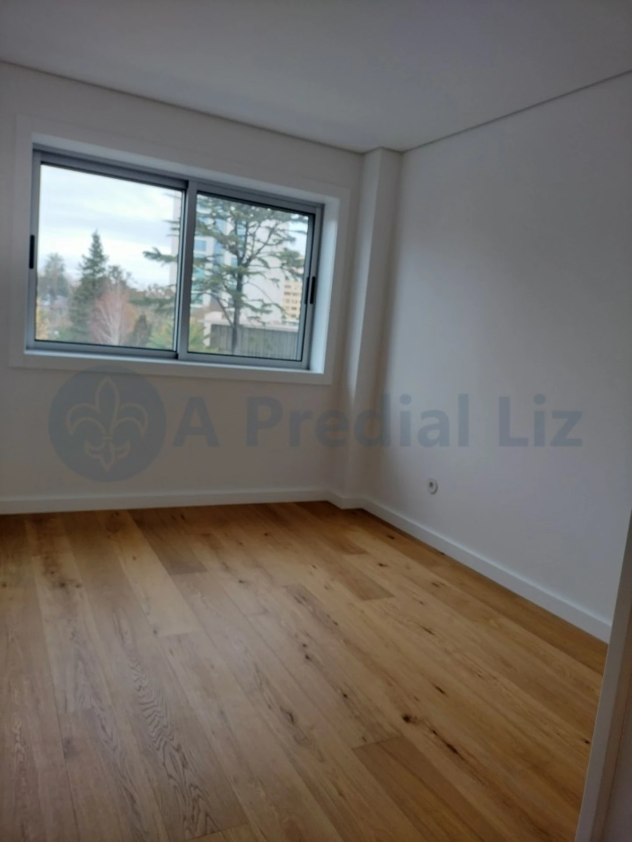 Apartamento T3 para Venda em Lordelo do Ouro e Massarelos Foto 23