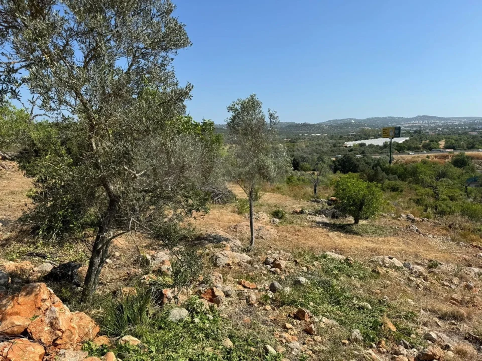 Terreno para Venda em Loule (São Sebastião) Foto 6