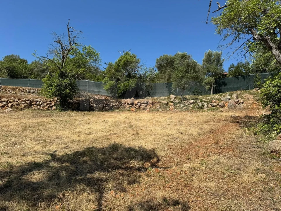 Terreno para Venda em Loule (São Sebastião) Foto 8