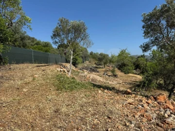 Terreno para Venda em Loule (São Sebastião)