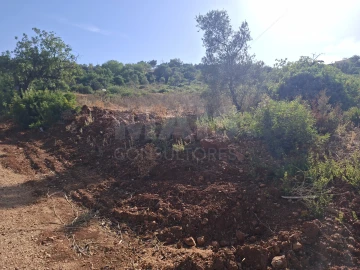 Terreno para Venda em Loule (São Sebastião)