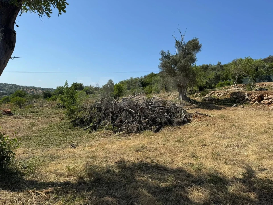 Terreno para Venda em Loule (São Sebastião) Foto 9