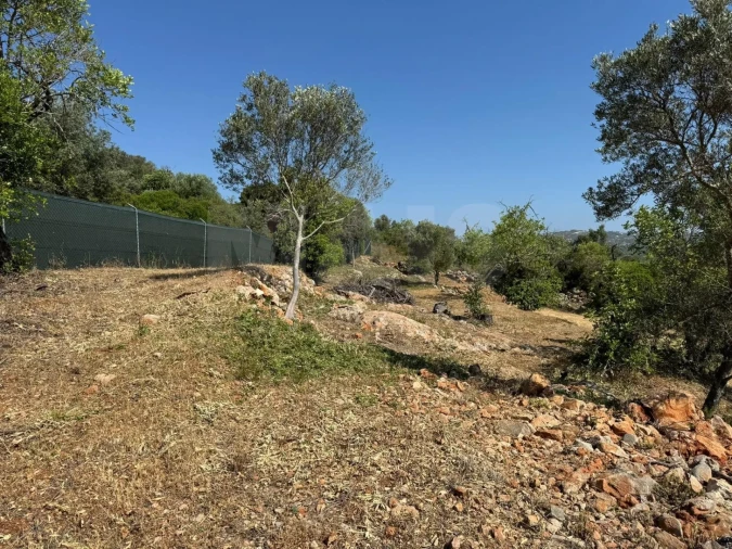 Terreno para Venda em Loule (São Sebastião) Foto 10
