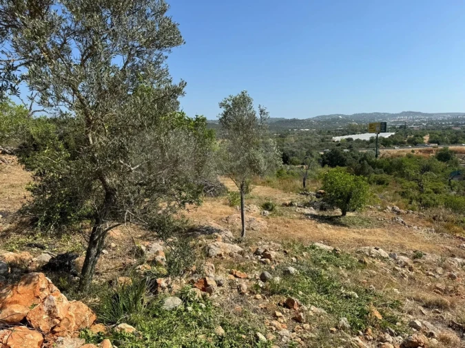 Terreno para Venda em Loule (São Sebastião) Foto 11