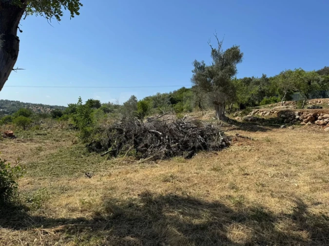 Terreno para Venda em Loule (São Sebastião) Foto 9