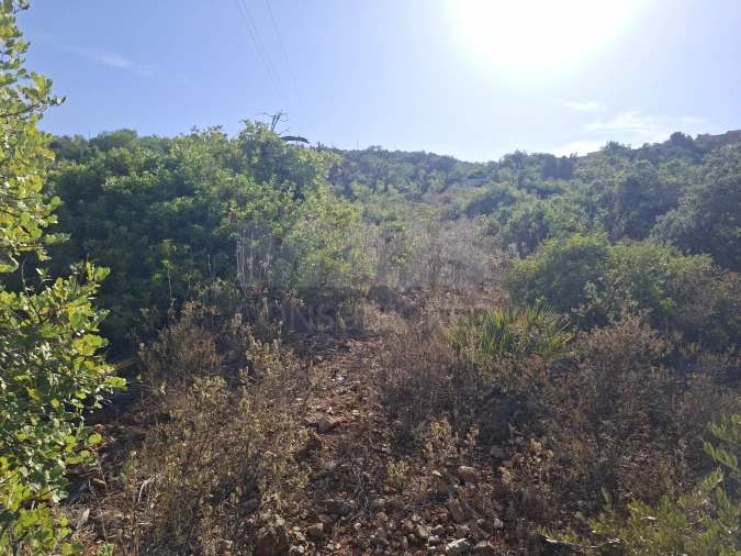 Terreno para Venda em Loule (São Sebastião) Foto 5