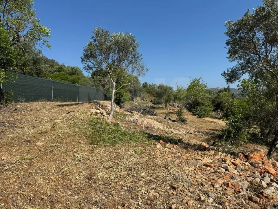 Terreno para Venda em Loule (São Sebastião) Foto 7
