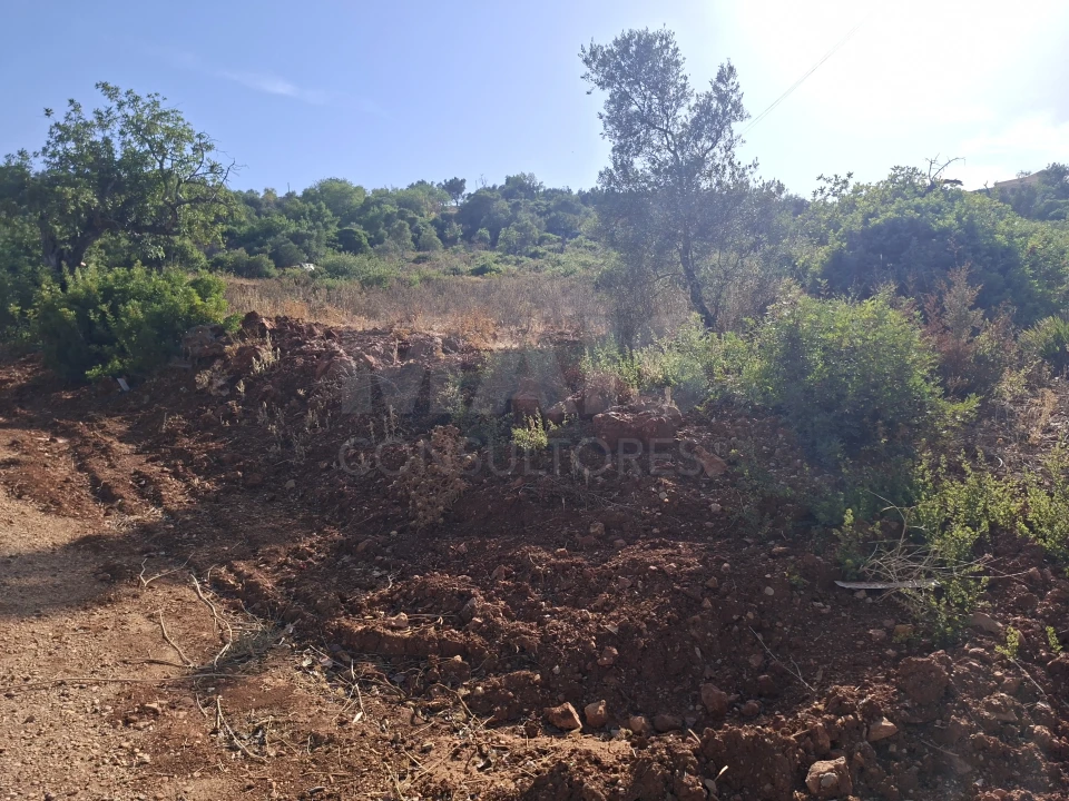 Terreno para Venda em Loule (São Sebastião) Foto 4