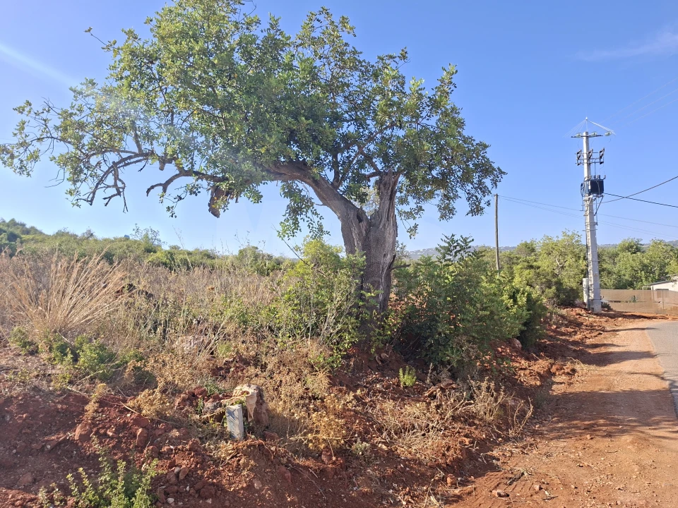Terreno para Venda em Loule (São Sebastião) Foto 1