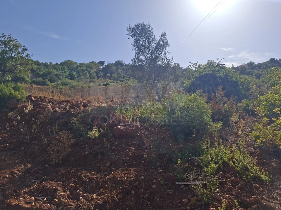 Terreno para Venda em Loule (São Sebastião) Foto 3