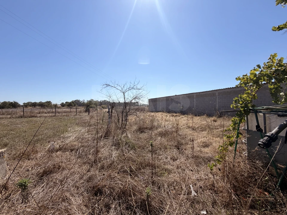 Moradia T3 para Venda em Benavente Foto 5