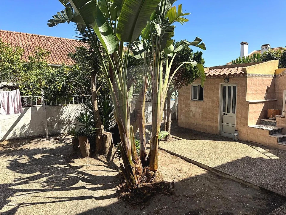 Apartamento T1 para Arrendamento em Charneca de Caparica e Sobreda Foto 5