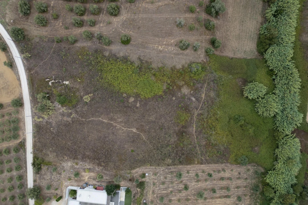 Terreno para Venda em Moçarria Foto 2