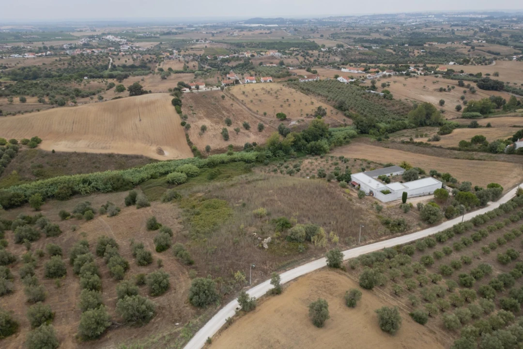 Terreno para Venda em Moçarria Foto 3