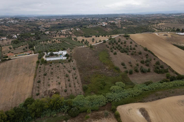 Terreno para Venda em Moçarria Foto 17