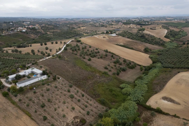Terreno para Venda em Moçarria Foto 18