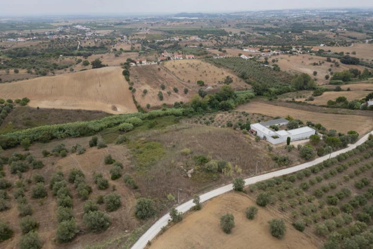 Terreno para Venda em Moçarria Foto 3