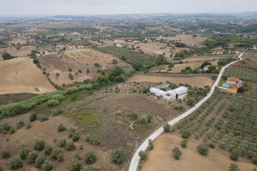 Terreno para Venda em Moçarria Foto 13