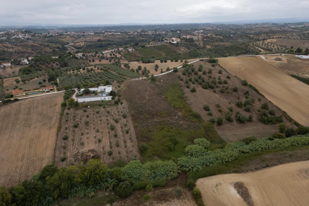 Terreno para Venda em Moçarria Foto 17