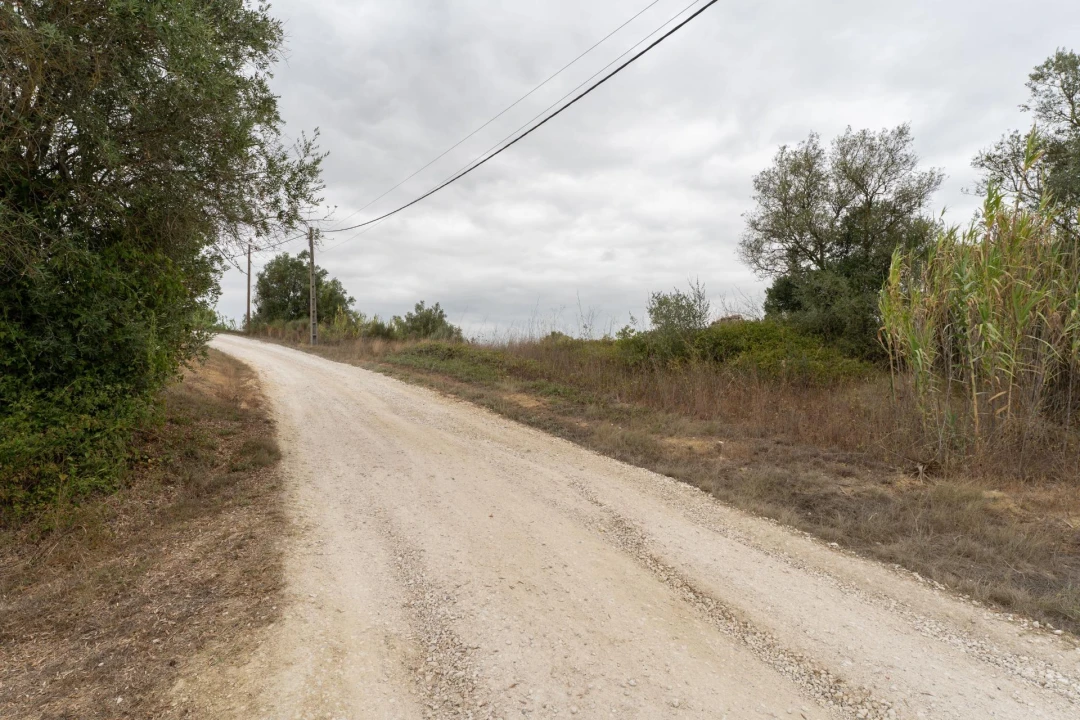 Terreno para Venda em Moçarria Foto 20
