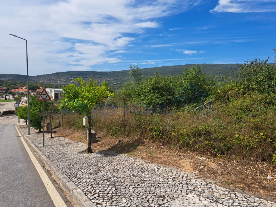 Terreno para Venda em Alvaiázere Foto 6