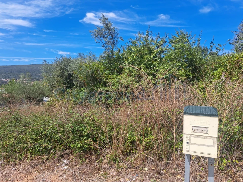 Terreno para Venda em Alvaiázere Foto 7