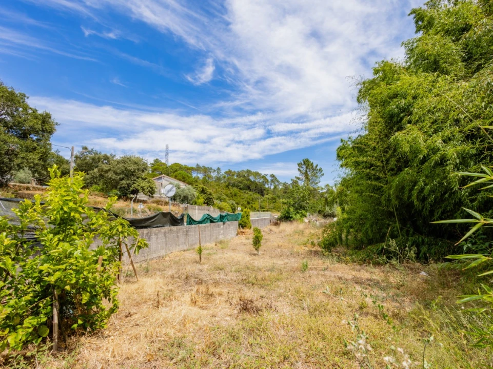 Moradia T4 para Venda em Vila Seca e Bem da Fé Foto 9