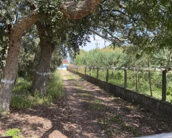Terreno para Venda em Salvaterra de Magos e Foros de Salvaterra