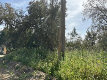 Terreno para Venda em Salvaterra de Magos e Foros de Salvaterra