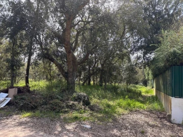 Terreno para Venda em Salvaterra de Magos e Foros de Salvaterra