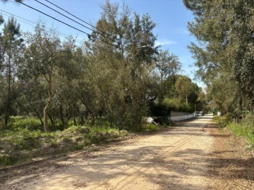 Terreno para Venda em Salvaterra de Magos e Foros de Salvaterra