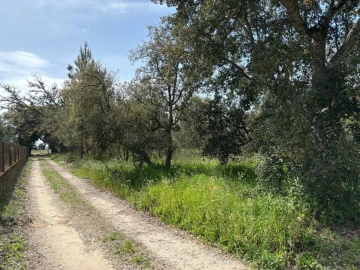 Terreno para Venda em Salvaterra de Magos e Foros de Salvaterra