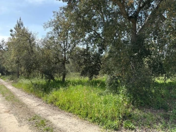 Terreno para Venda em Salvaterra de Magos e Foros de Salvaterra