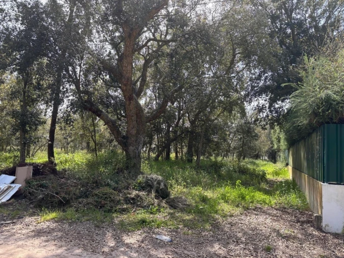 Terreno para Venda em Salvaterra de Magos e Foros de Salvaterra Foto 15