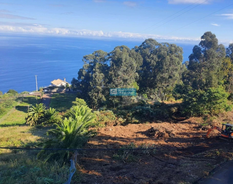 Terreno para Venda em São Jorge Foto 5
