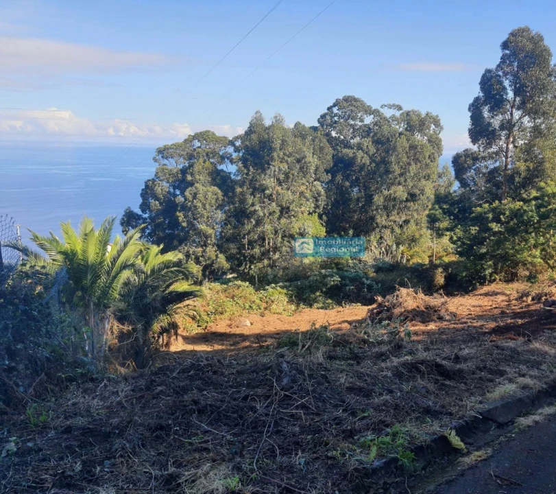 Terreno para Venda em São Jorge Foto 6