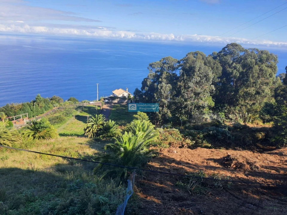 Terreno para Venda em São Jorge Foto 7