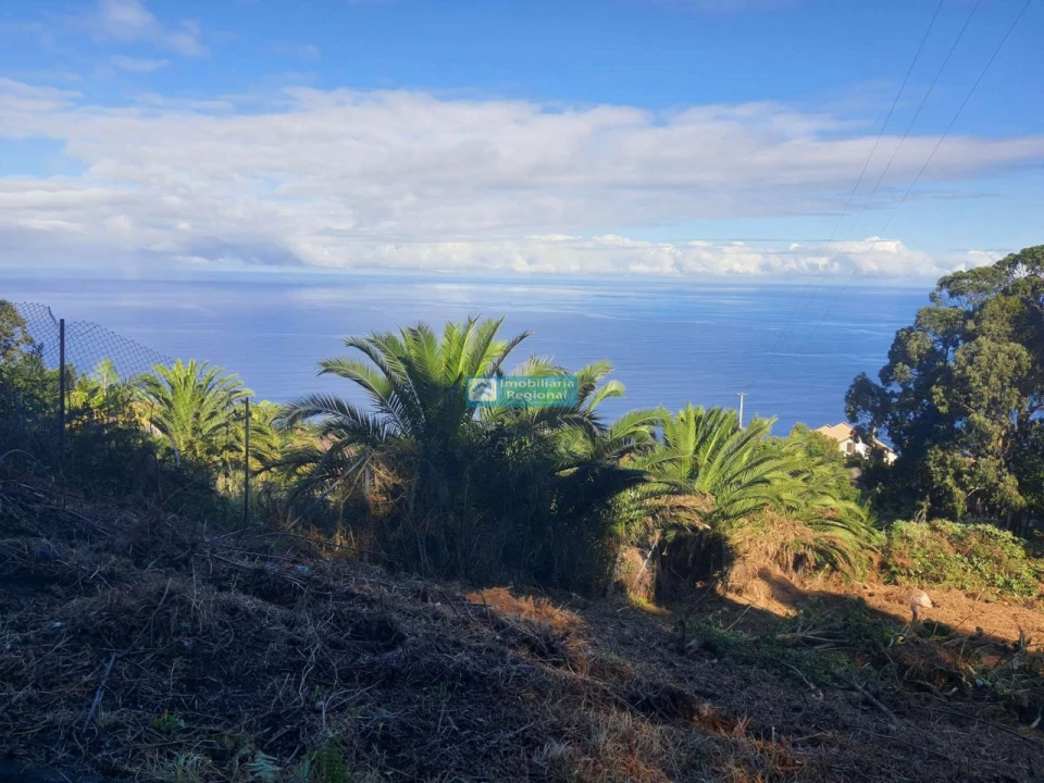 Terreno para Venda em São Jorge Foto 8