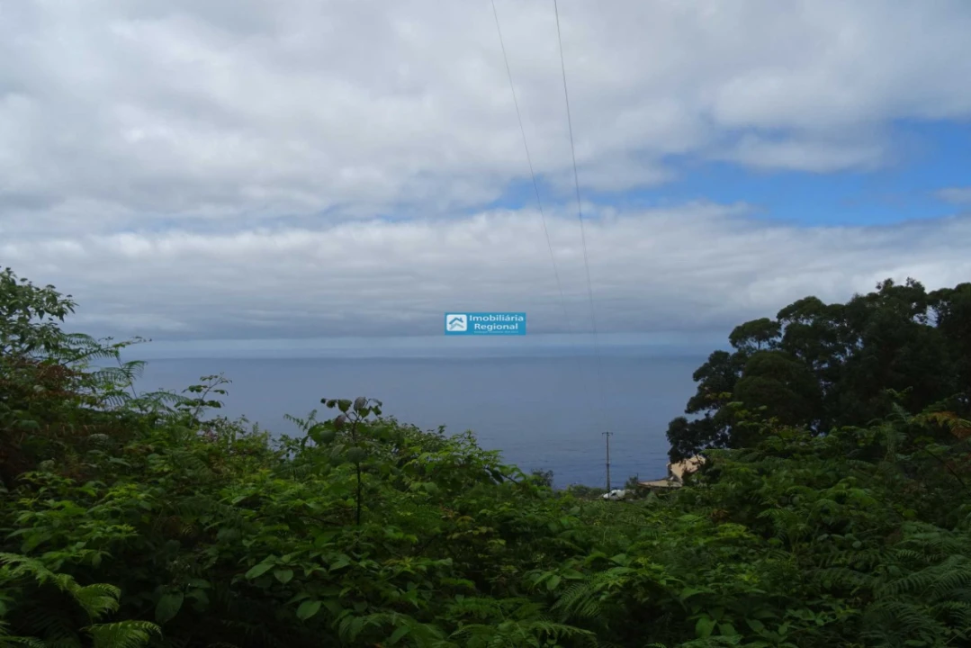 Terreno para Venda em São Jorge Foto 10