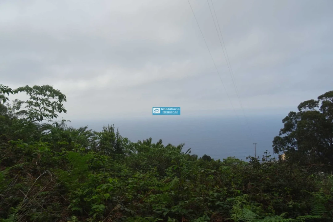 Terreno para Venda em São Jorge Foto 12