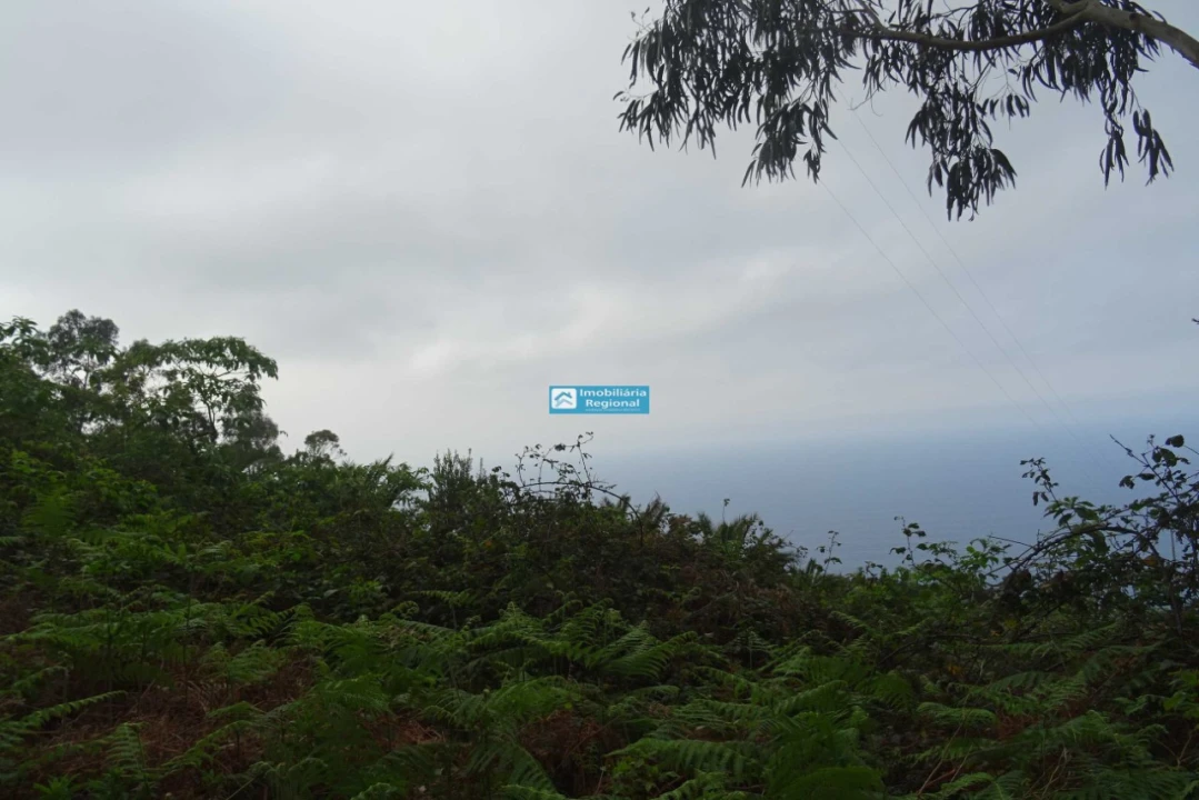 Terreno para Venda em São Jorge Foto 3