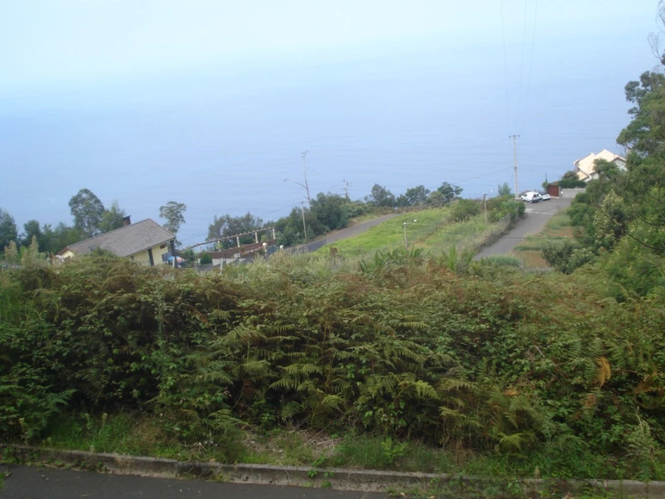 Terreno para Venda em São Jorge Foto 1