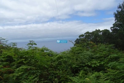 Terreno para Venda em São Jorge