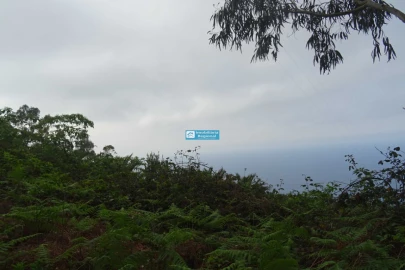 Terreno para Venda em São Jorge